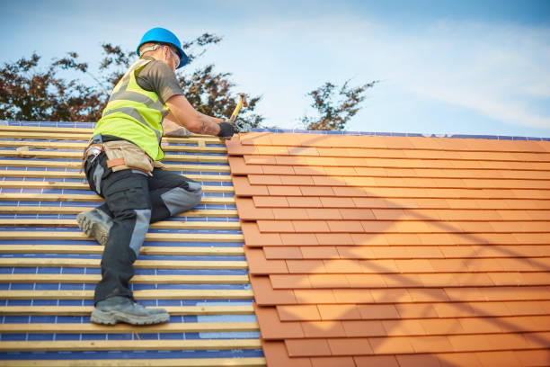 Best Roof Maintenance and Cleaning  in Catalina Foothills, AZ